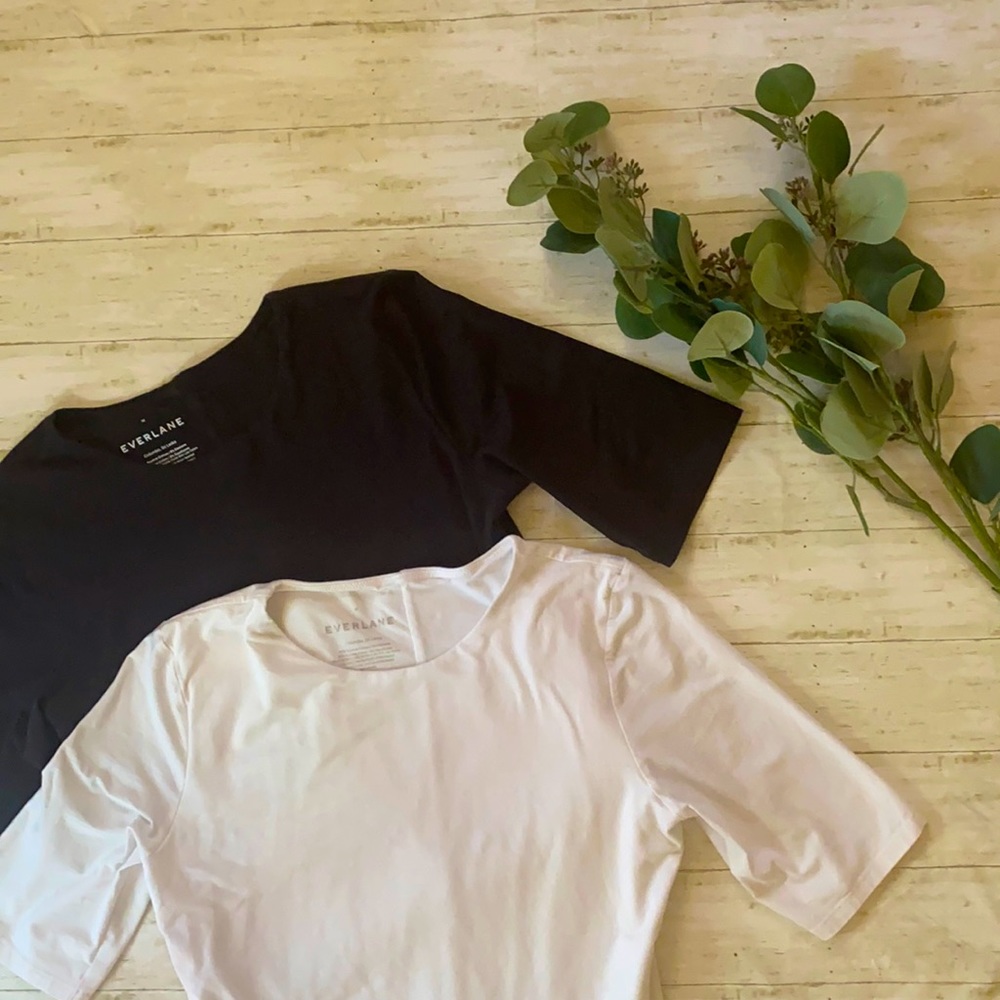 2 Everlane T Shirt Bodysuits